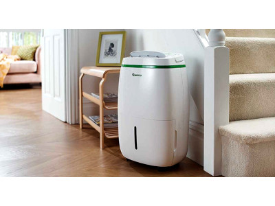 Осушитель воздуха против плесени: научный подход к решению проблемы