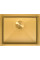 Кухонная мойка ZorG ZRN 4555 Premium PVD Gold