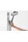 Душевой гарнитур Hansgrohe Raindance Select S 27646000