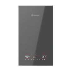 Котёл газовый THERMEX Antares FH24