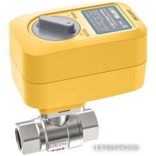 Электрический вентиль Neptun Profi 12 В 1 1/4