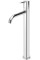 Смеситель Bruma Leaf Chrome 1670021CR