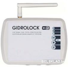Центр управления/хаб Gidrolock Wi-Fi
