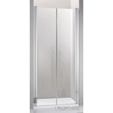 Душевая дверь Adema Nap Duo-100 (прозрачное стекло)