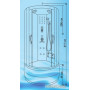 Душевая кабина Водный мир ВМ8815 100x100 (тонированное стекло)